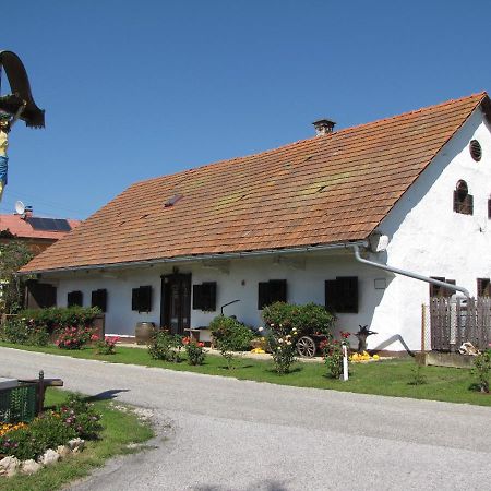 Homestay Kapl Ledinek Екстериор снимка