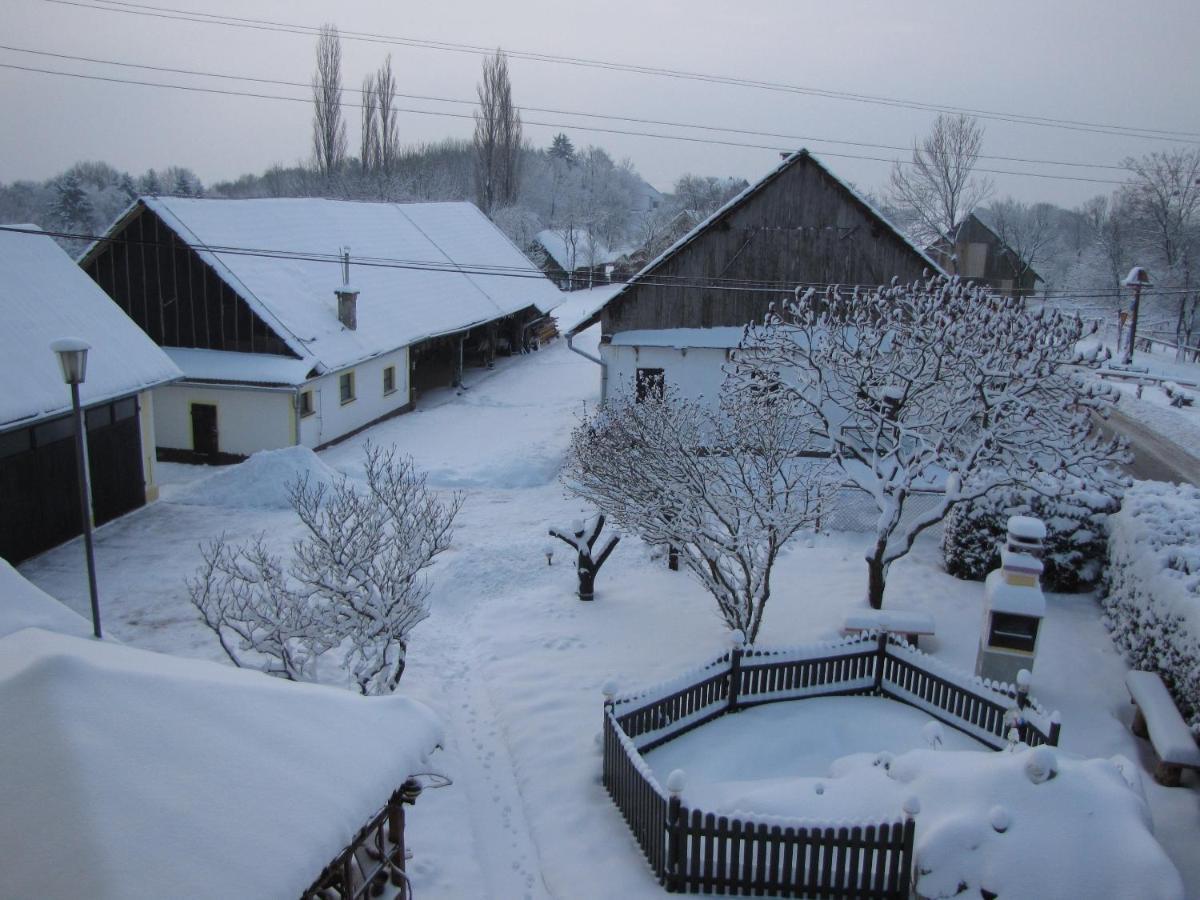 Homestay Kapl Ledinek Екстериор снимка